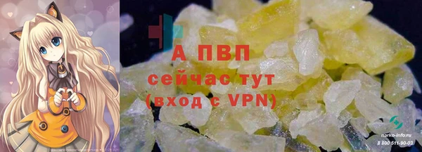 mdpv Иннополис