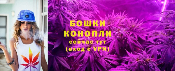 спиды Инта