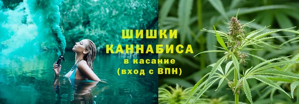 mdpv Иннополис