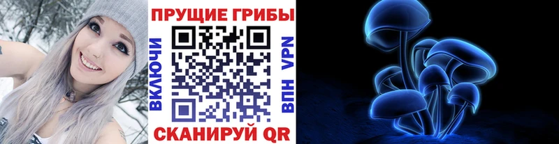 Купить закладки  Лаишево  Псилоцибиновые грибы GOLDEN TEACHER 
