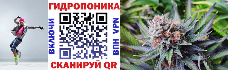 Купить где Лаишево Бошки Шишки сатива
